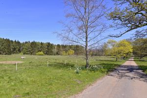 Photo 17- click for photo gallery